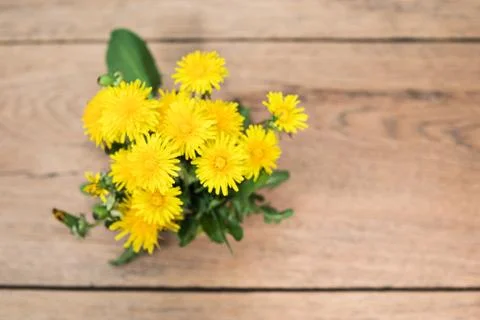 Bouquet of dandelions on the table Stock Photos