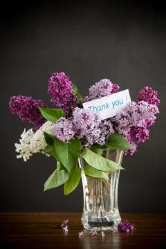 Bouquet of different blooming spring lilacs in a vase on black background Stock Photos