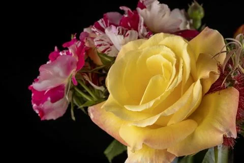 A bouquet of different colored flowers inside a glass vase isolated on black Stock Photos