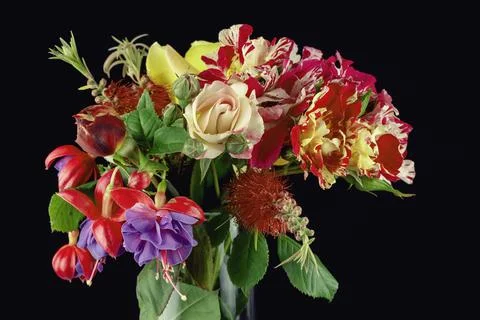 A bouquet of different colored flowers inside a glass vase isolated on black Stock Photos