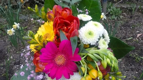 Bouquet of different flowers Stock Footage 126423657