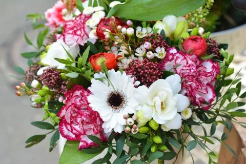 Bouquet of different flowers Stock Photos