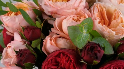 Bouquet of different roses, close-up Stock-Footage 84050497