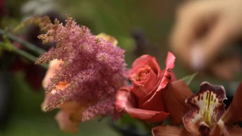 A bouquet of different types of flowers 스톡 동영상 101730002