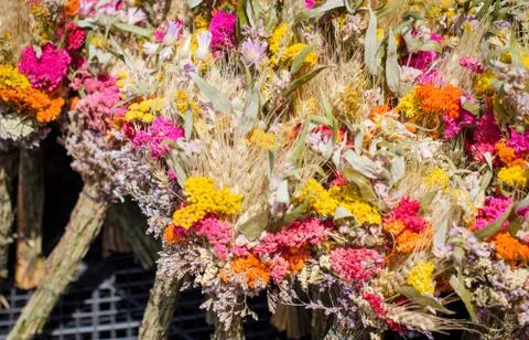Bouquet of dried flowers of all colors Stock Photos