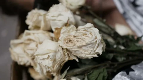 Bouquet of dried roses Stock Footage 105997818