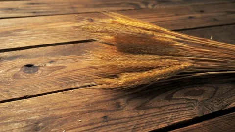 A bouquet of dried rye on the background of an old wooden table or tabletop. Stock Footage 142547340