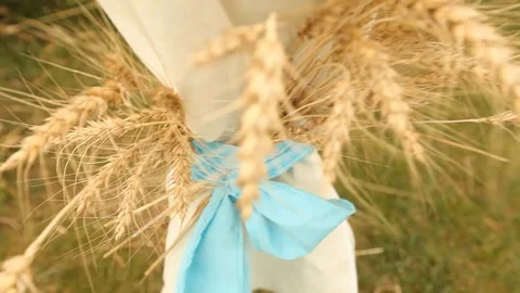A bouquet of ears 4 Stock Footage 136784907