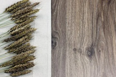 Bouquet of ears of rye on canvas Stock Photos