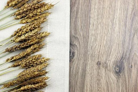 Bouquet of ears of rye on canvas Stock Photos