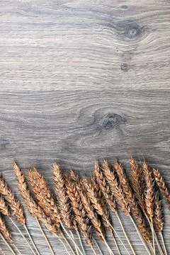 Bouquet of ears of rye on canvas Stock Photos