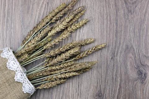 Bouquet of ears of rye on canvas Stock Photos