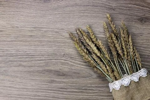 Bouquet of ears of rye on canvas Stock Photos