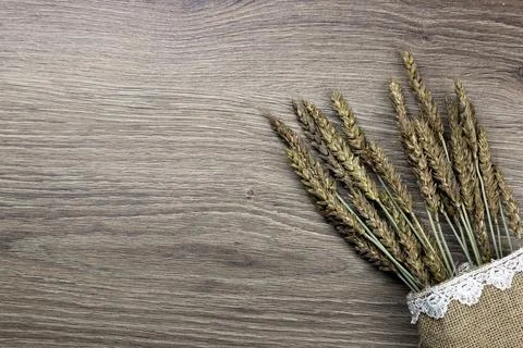Bouquet of ears of rye on canvas Stock Photos