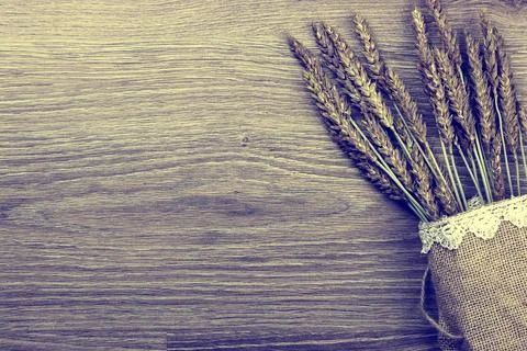 Bouquet of ears of rye on canvas Stock Photos