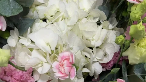 Bouquet featuring white hydrangeas, pink roses, and green buds Stock Footage 317102583