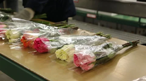 Bouquet Flower Assembly 動画素材 58733481