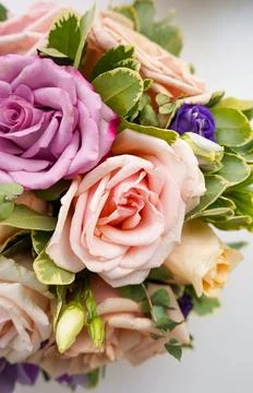Bouquet of flowers - a composition of multi-colored roses. Stock Photos