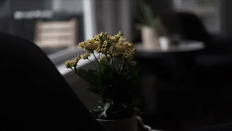 Bouquet of flowers in a dimly lit room with dark shadows at a funeral Stock Footage
