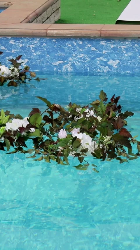 Bouquet of flowers floating in pool of water with blue background. Stock-Footage 306149953