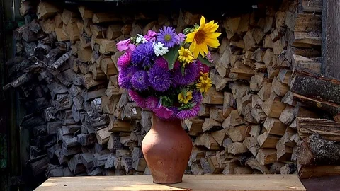 Bouquet of flowers Stock Footage 80088477