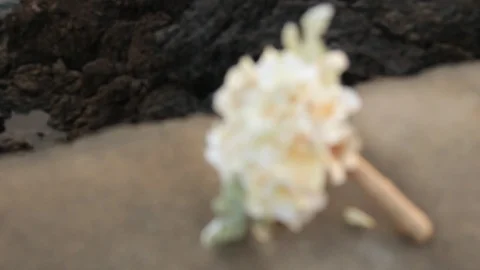 Bouquet Of Flowers Stock Footage 104769795
