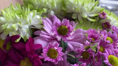 Bouquet of flowers Stock Footage 173083415