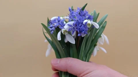 A bouquet of flowers in hands Stock Footage 331394944