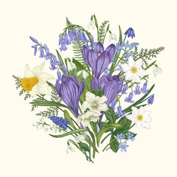 Bouquet of flowers. Illustrazione stock