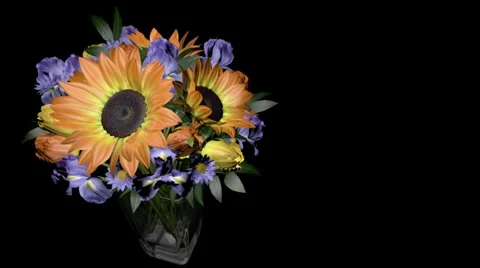 Bouquet of Flowers Loop Stock Footage 1095352