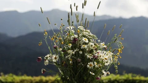 Bouquet of flowers at mountain background Stock Footage 78938950