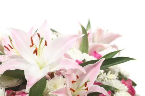 Bouquet of flowers Stock Photos