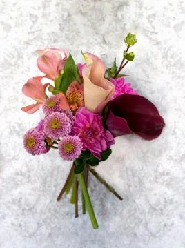 Bouquet of flowers Stock Photos