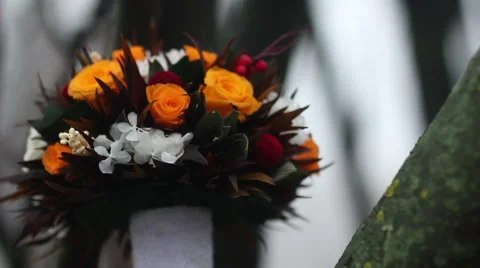 A bouquet of flowers on the tree Stock Footage 61416767