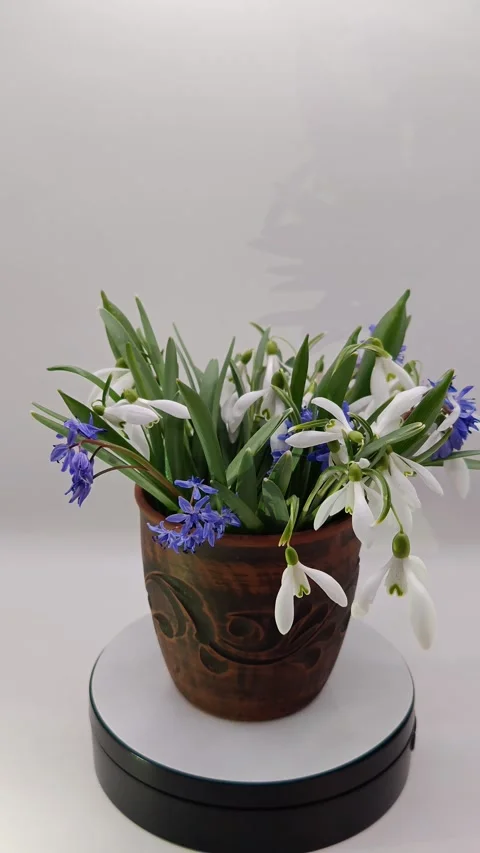 A bouquet of flowers in a vase Stock Footage 331394823