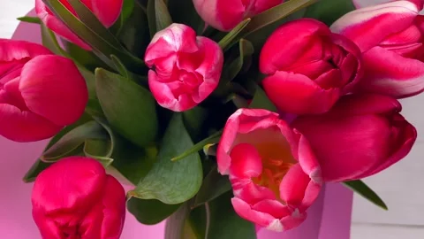 Bouquet of flowers on white backgraund. Stock Footage 150789563