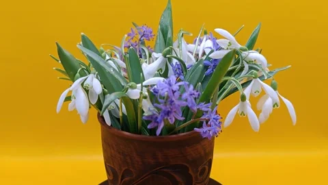 A bouquet of flowers on a yellow background Stock Footage 331394875