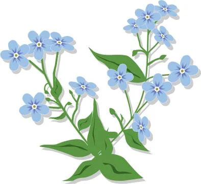Bouquet from forget-me-nots. Stock Illustration