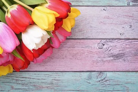 A bouquet of fresh, bright, multi-colored tulips on wooden planks. Stock Photos