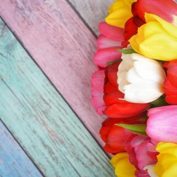 A bouquet of fresh, bright, multi-colored tulips on wooden planks. Stock Photos