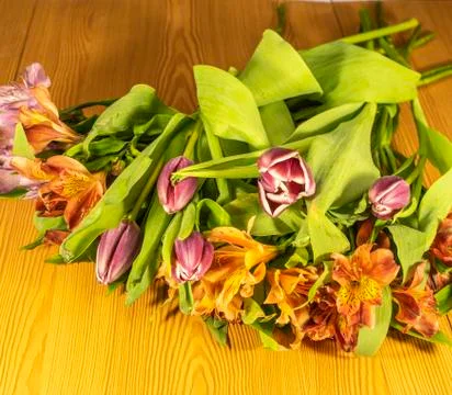 Bouquet of fresh multi-colored spring flowers of different varieties Stock Photos