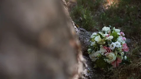 Bouquet of fresh roses. wedding bouquet in the park near the tree. Slowmo Stock Footage 107784553