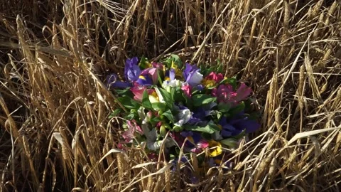 Bouquet on a grain field Stock Footage 163566761