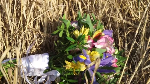 Bouquet on a grain field Stock Footage 163566764