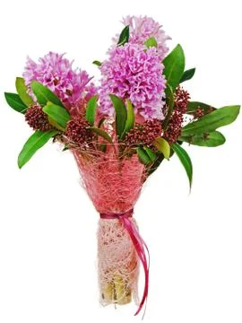 Bouquet from hyacinth isolated on white background. Stock Photos