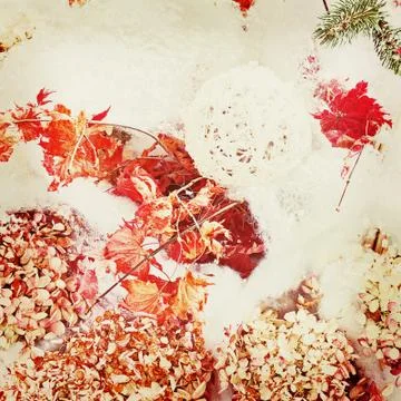 Bouquet from hydrangea with retro filter effect. Stock Photos