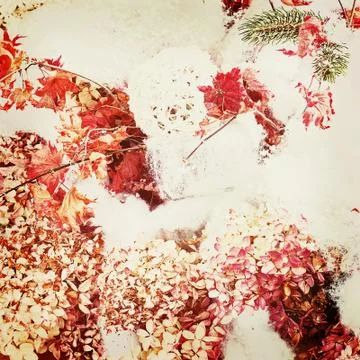 Bouquet from hydrangea with retro filter effect. Stock Photos