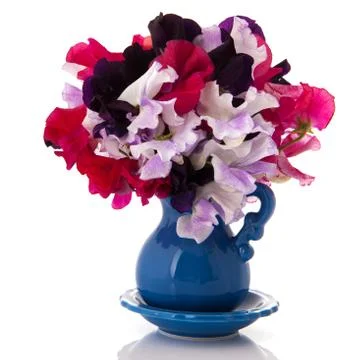 Bouquet lathyrus Foto stock