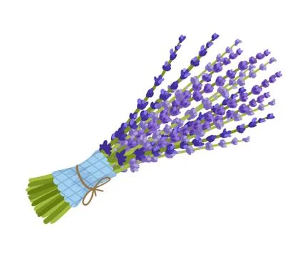 Bouquet of lavender paper wrapper. Vector illustration on a white background. Stock Illustration