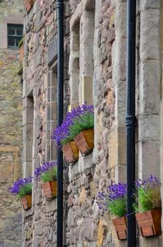 Bouquet of lavender in a rustic decorative setting Foto stock